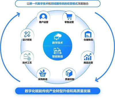 構建高效、可持續的數字生態系統 標桿項目實施辦法與數字技術服務路徑